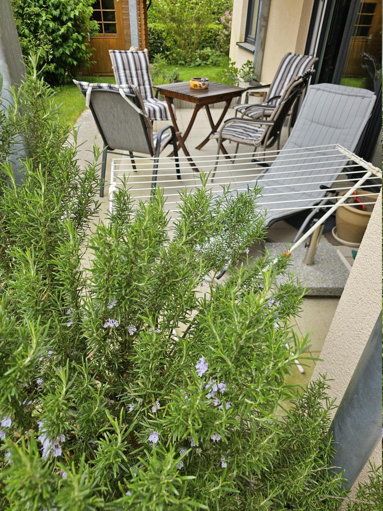 Lueneburger Heide - Kruemel Apartment *